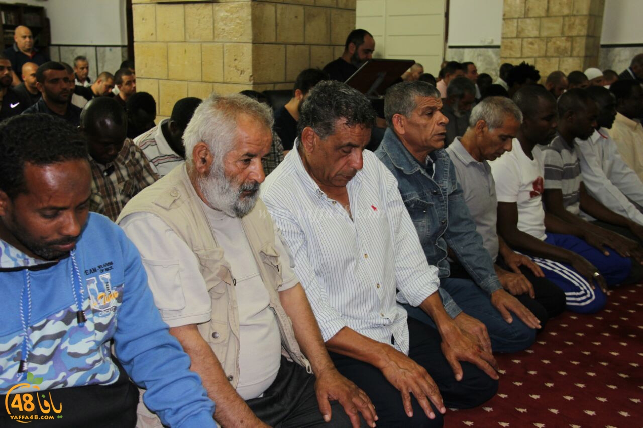 trawe7 salahsaj (20).jpg